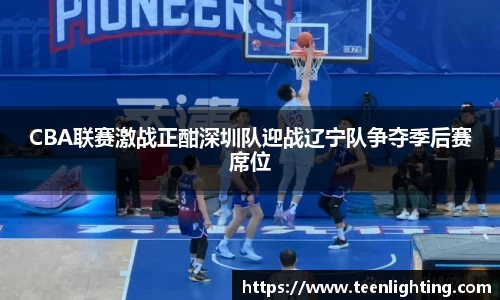 CBA联赛激战正酣深圳队迎战辽宁队争夺季后赛席位